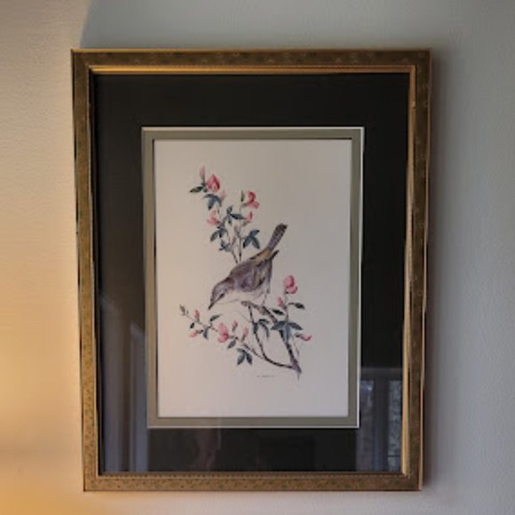 A. Marlin Bird Prints - Picture 3 of 14